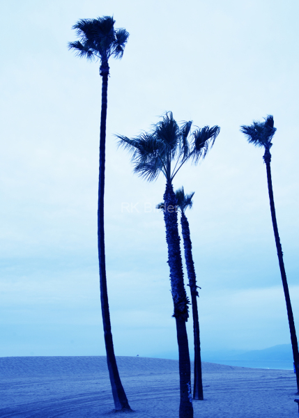 venice-beach-blue-5-50x70