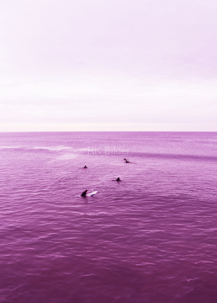 venice-beach-purple-2-50x70-new