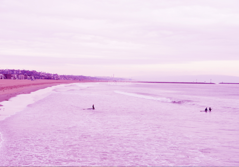 venice-beach-purple-4-100x70